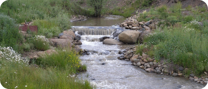 Mill-Creek-near-Pagosa-Springs-CO-2